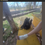 Denuncian negligencia en Diver Splash tras accidente de una joven en la alberca de olas