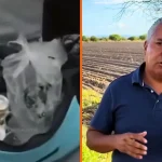 Denuncian penalmente al alcalde de Villanueva por armar fiesta familiar con alcohol en la Sala de Cabildos