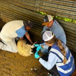 Continúa Gobierno del Estado barrido sanitario para prevenir el GBG en Parral