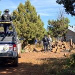 Localizan campamento clandestino y vehículos calcinados tras operativo interinstitucional en Madera